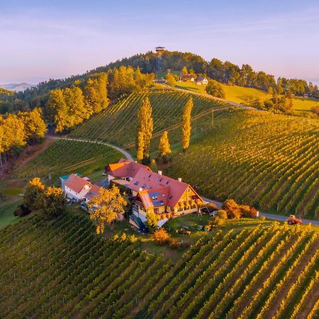 Weingut Winzerzimmer Rothschaedl 里欧查赫 外观 照片