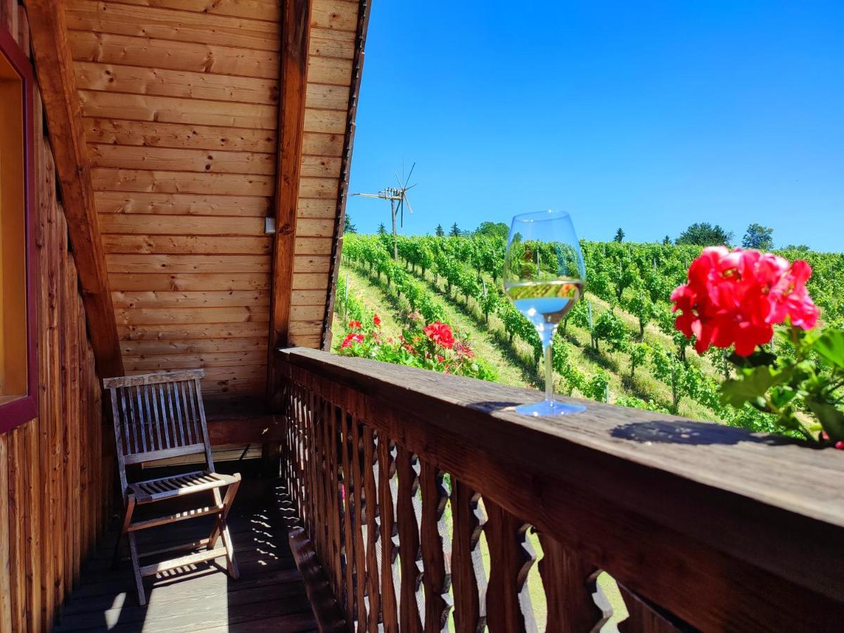 Weingut Winzerzimmer Rothschaedl 里欧查赫 外观 照片