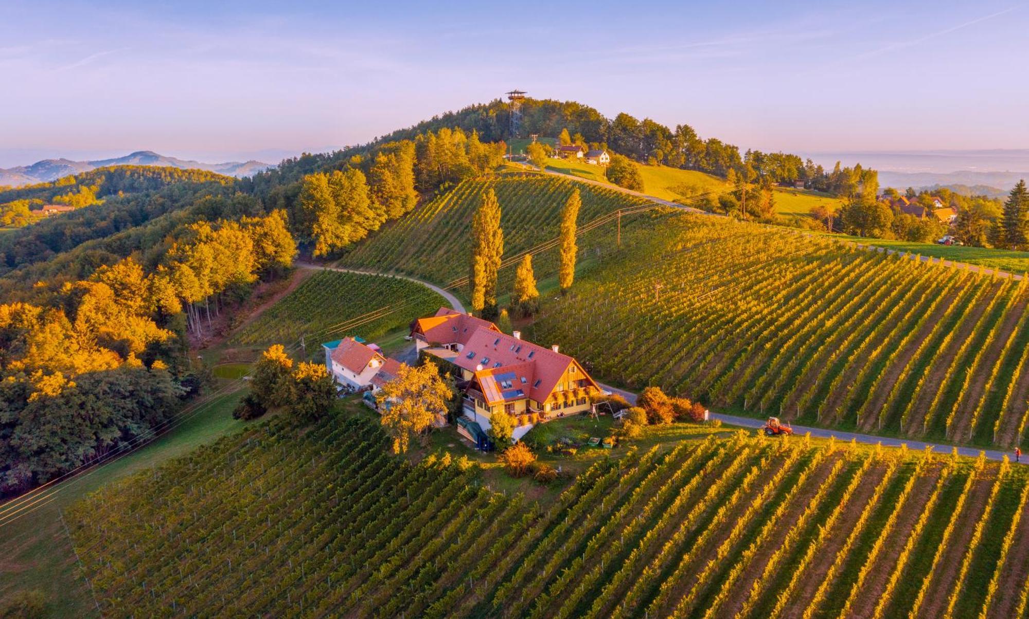Weingut Winzerzimmer Rothschaedl 里欧查赫 外观 照片