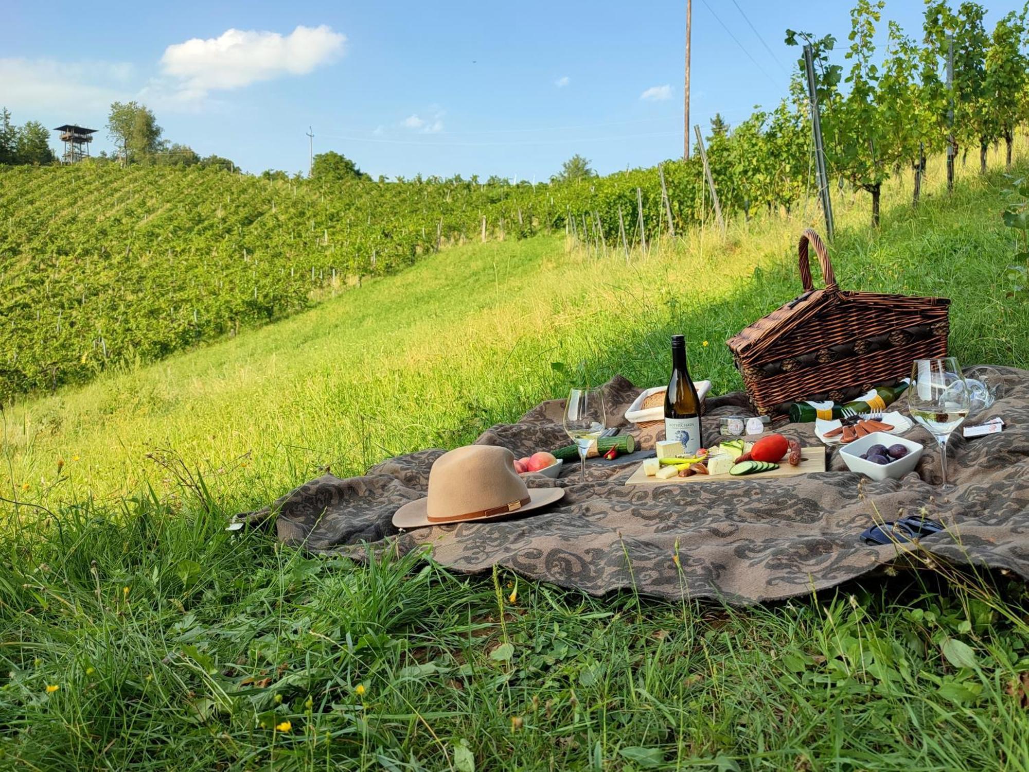 Weingut Winzerzimmer Rothschaedl 里欧查赫 外观 照片