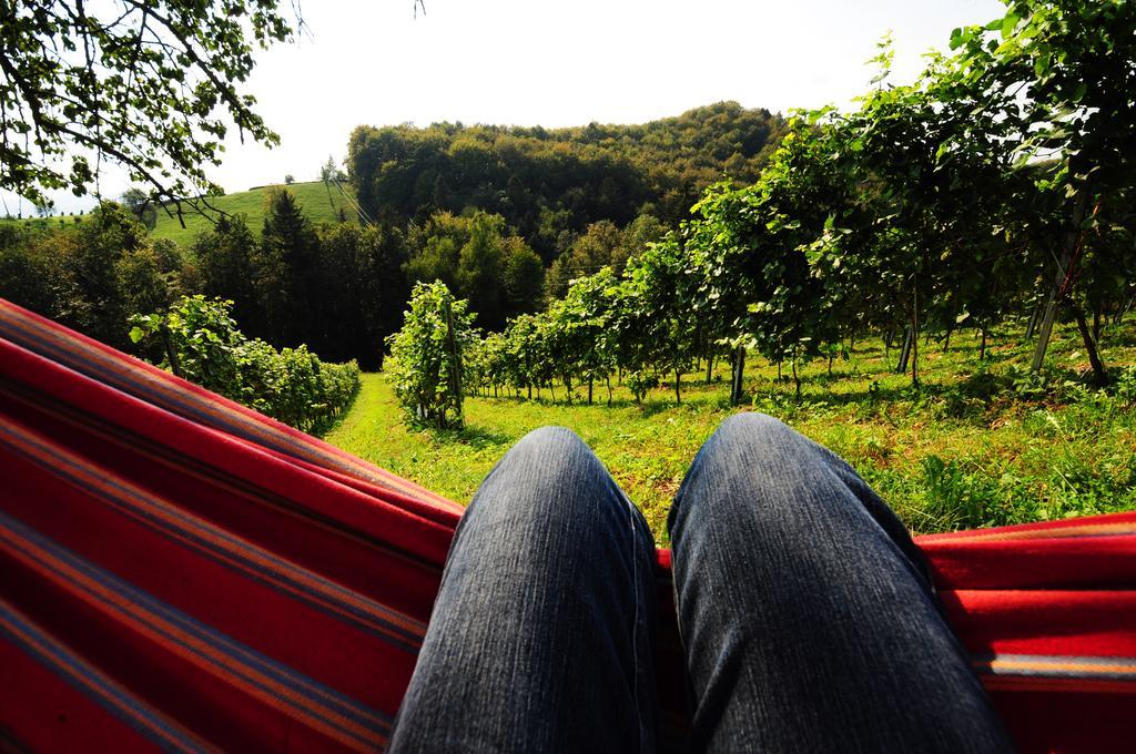 Weingut Winzerzimmer Rothschaedl 里欧查赫 外观 照片