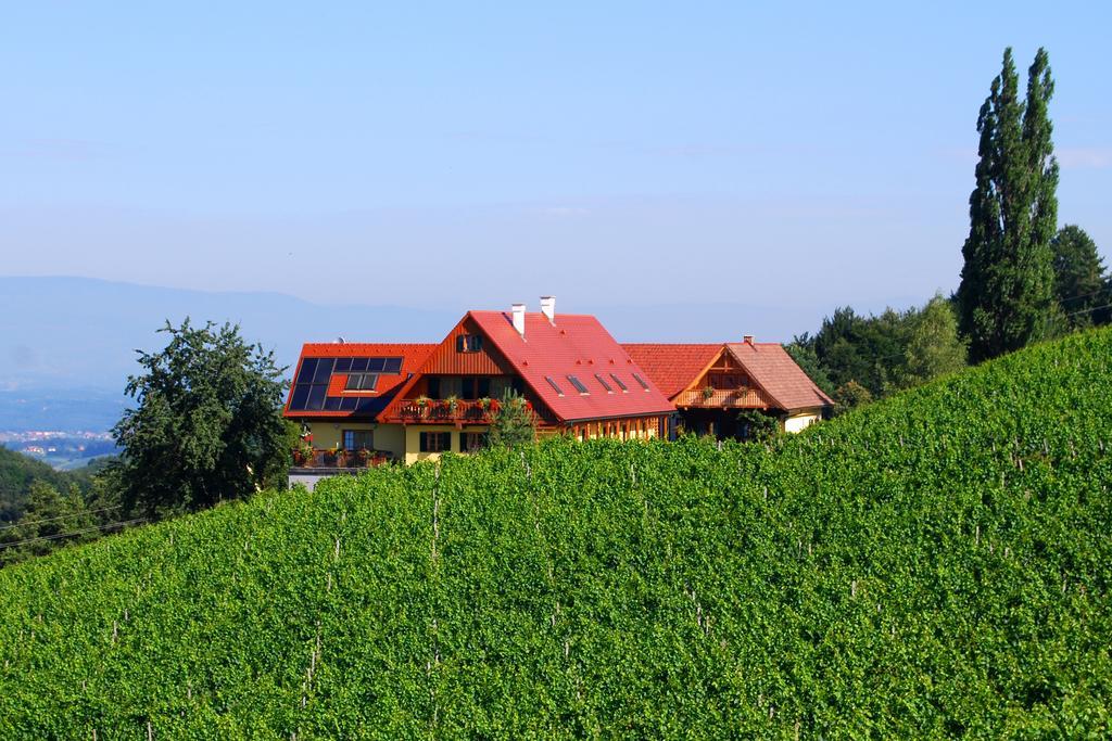 Weingut Winzerzimmer Rothschaedl 里欧查赫 外观 照片