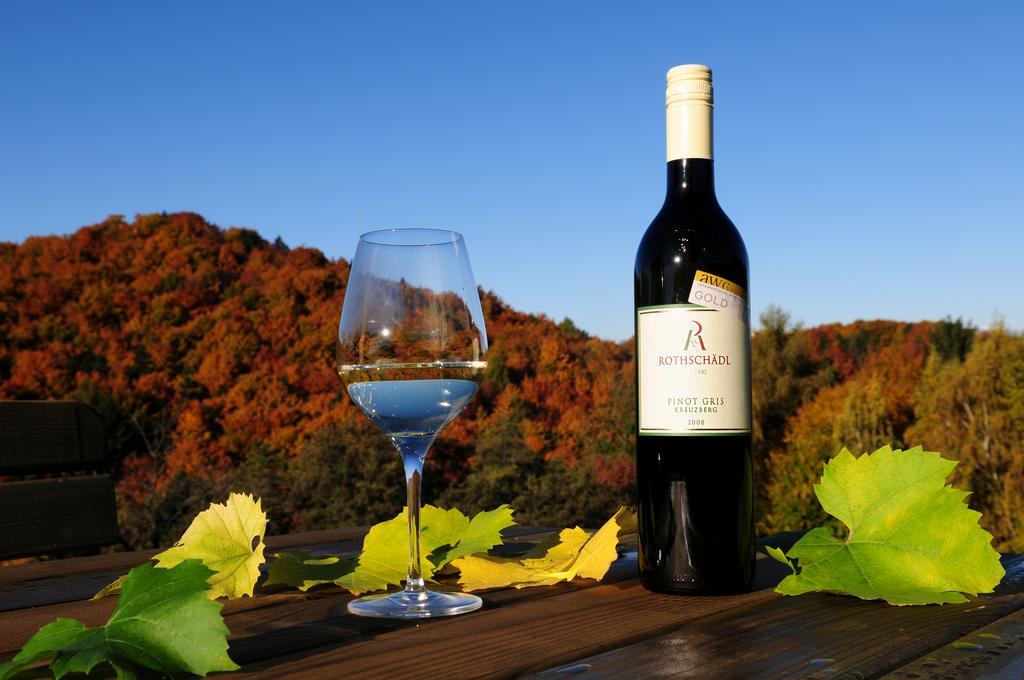 Weingut Winzerzimmer Rothschaedl 里欧查赫 外观 照片
