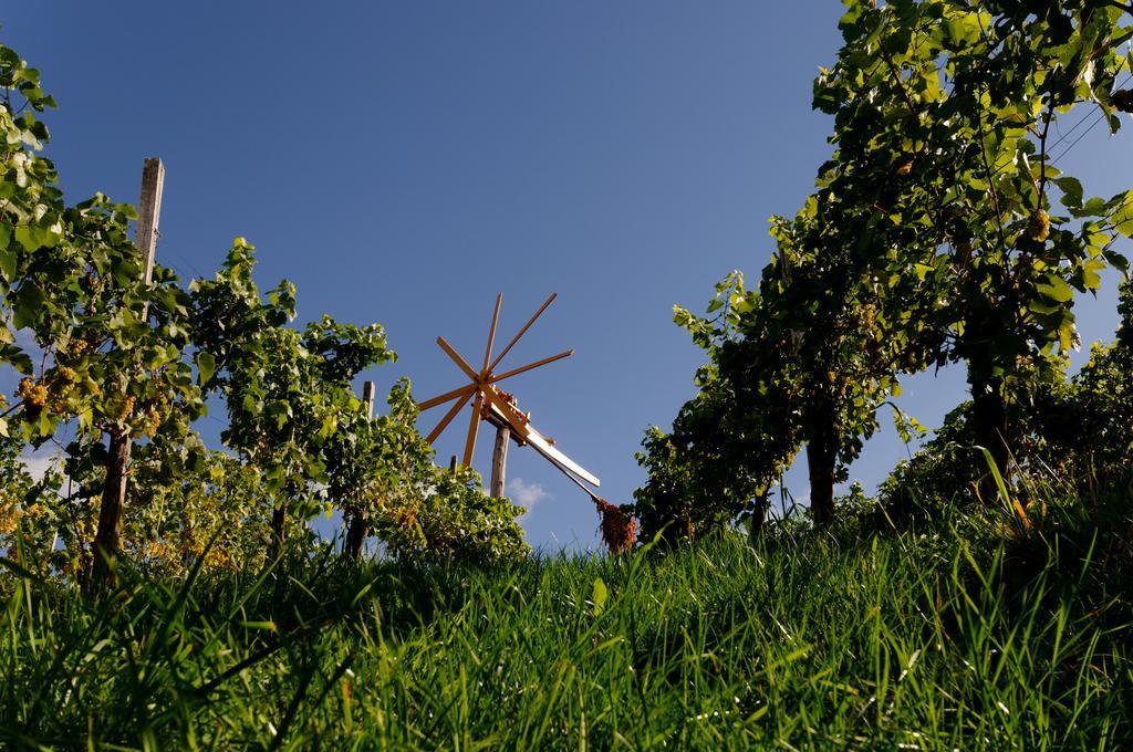 Weingut Winzerzimmer Rothschaedl 里欧查赫 外观 照片