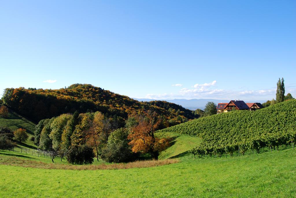 Weingut Winzerzimmer Rothschaedl 里欧查赫 外观 照片