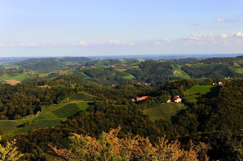 Weingut Winzerzimmer Rothschaedl 里欧查赫 外观 照片