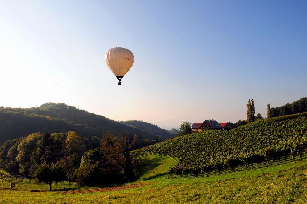 Weingut Winzerzimmer Rothschaedl 里欧查赫 外观 照片